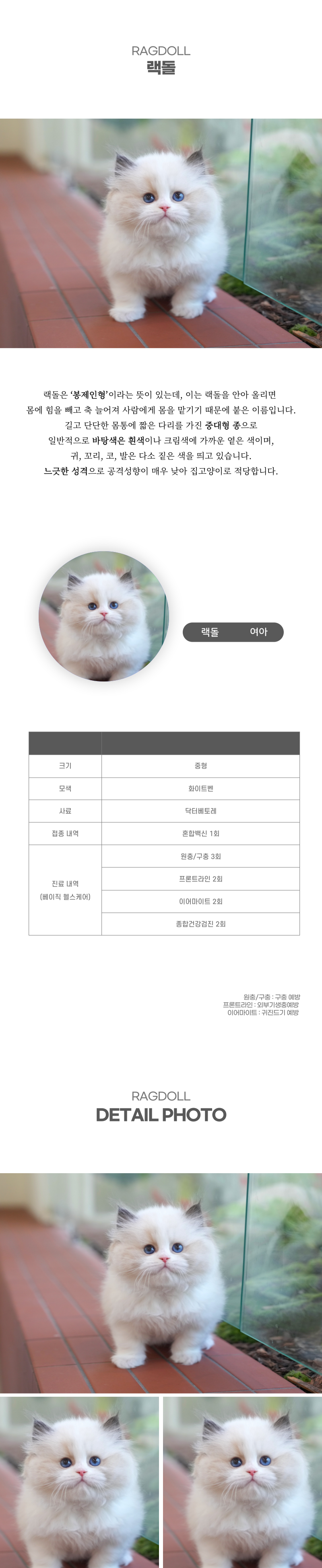 랙돌_상세이미지_2